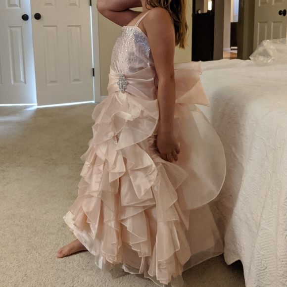 Ruffled flower girl dress - blush with sequins - Picture 3 of 7